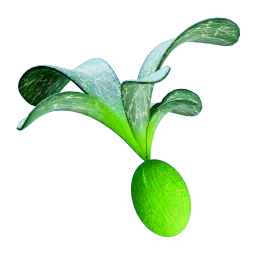 Cherimoya Chutney