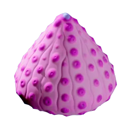 Aeroshell Sponge
