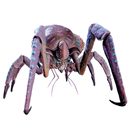 Coral Crab
