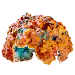 Coral Dome