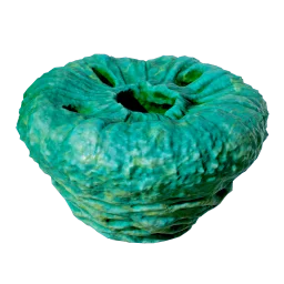 Donut No Worms