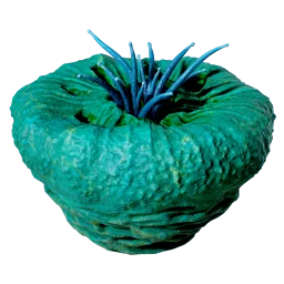 Donut of Worms