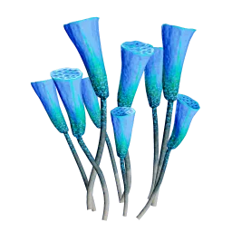 Flagon Spraion