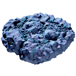 Pebbled Sporal