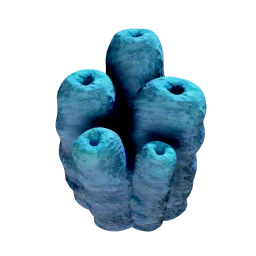 Toxic Sponge