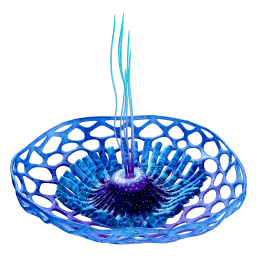 Tripe-Bowl Raion