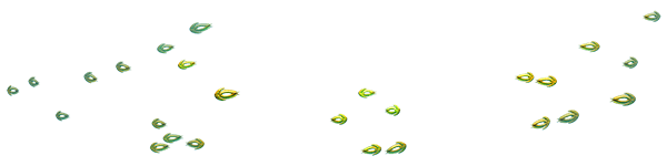 Small yellow fish