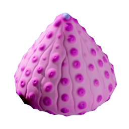 Aeroshell Sponge