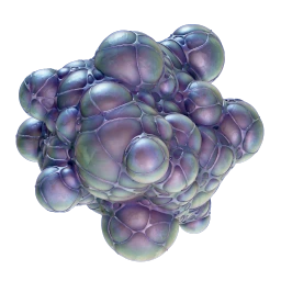 Axum Bacterial Culture