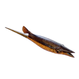 Cooked Black Hoverthorn