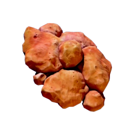 Coral Shavings