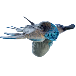 Deepwing Egg Clump