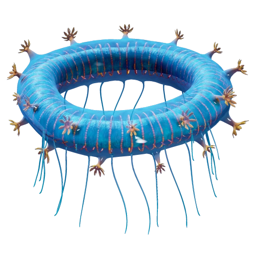 Jelly Ring