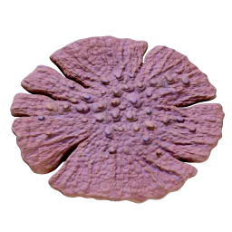 Powdered Shell